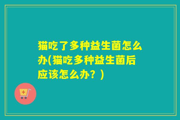 猫吃了多种益生菌怎么办(猫吃多种益生菌后应该怎么办？)