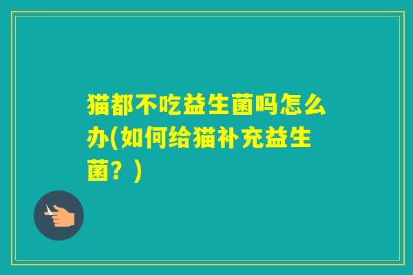 猫都不吃益生菌吗怎么办(如何给猫补充益生菌？)