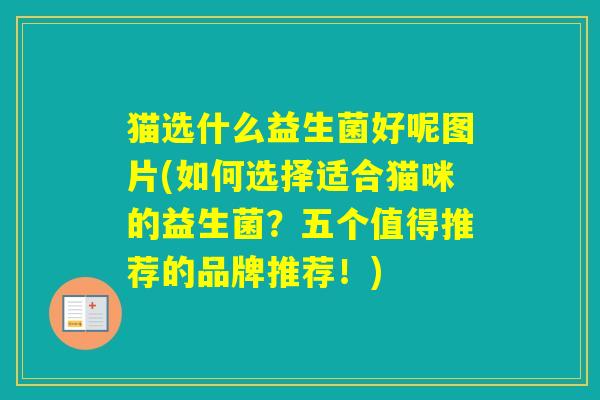猫选什么益生菌好呢图片(如何选择适合猫咪的益生菌?五个值得推荐的品牌推荐!) 猫选什么益生菌好呢图片(如何选择适合猫咪的益生菌?五个值得推荐的品牌推荐!)