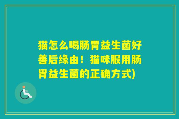 猫怎么喝肠胃益生菌好善后缘由!猫咪服用肠胃益生菌的正确方式) 猫怎么喝肠胃益生菌好善后缘由!猫咪服用肠胃益生菌的正确方式)