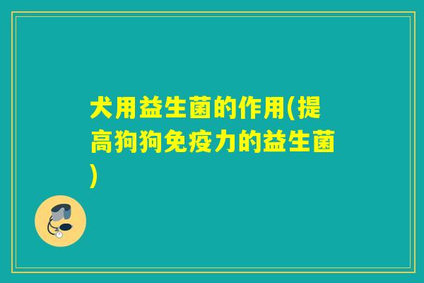 犬用益生菌的作用(提高狗狗力的益生菌)