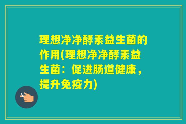 理想净净酵素益生菌的作用(理想净净酵素益生菌：促进肠道健康，提升力)
