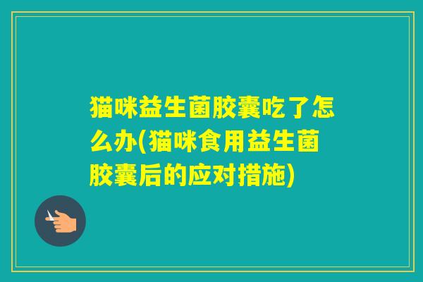 猫咪益生菌胶囊吃了怎么办(猫咪食用益生菌胶囊后的应对措施) 猫咪益生菌胶囊吃了怎么办(猫咪食用益生菌胶囊后的应对措施)