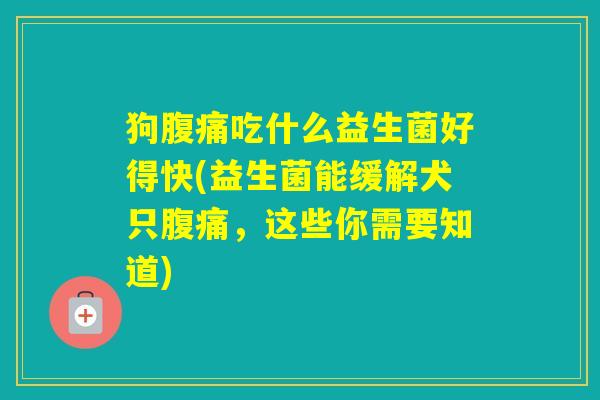 狗吃什么益生菌好得快(益生菌能缓解犬只,这些你需要知道) 狗吃什么益生菌好得快(益生菌能缓解犬只,这些你需要知道)