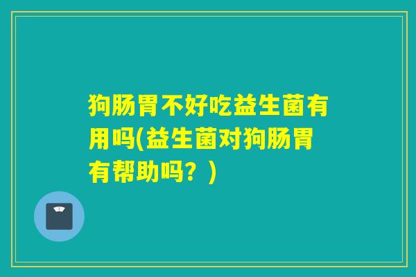 狗肠胃不好吃益生菌有用吗(益生菌对狗肠胃有帮助吗？)