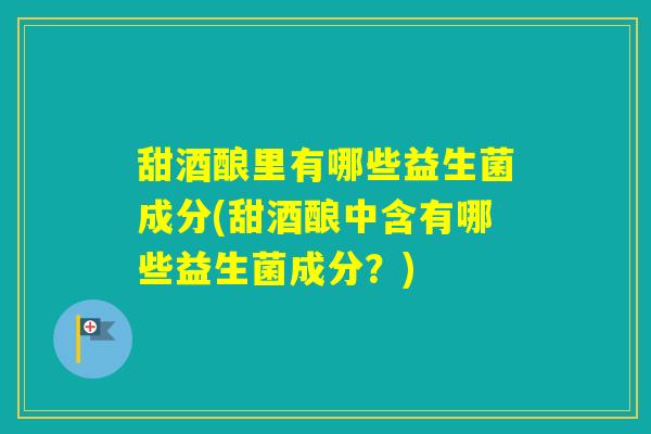 甜酒酿里有哪些益生菌成分(甜酒酿中含有哪些益生菌成分？)