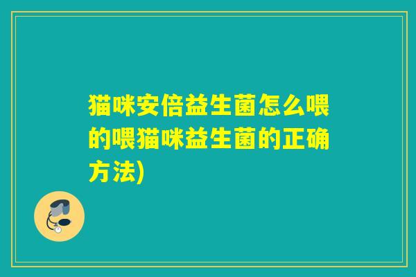 猫咪安倍益生菌怎么喂的喂猫咪益生菌的正确方法)