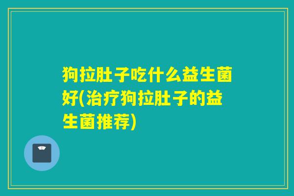 狗拉肚子吃什么益生菌好(狗拉肚子的益生菌推荐)