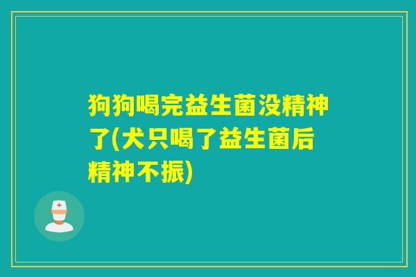 狗狗喝完益生菌没精神了(犬只喝了益生菌后精神不振)