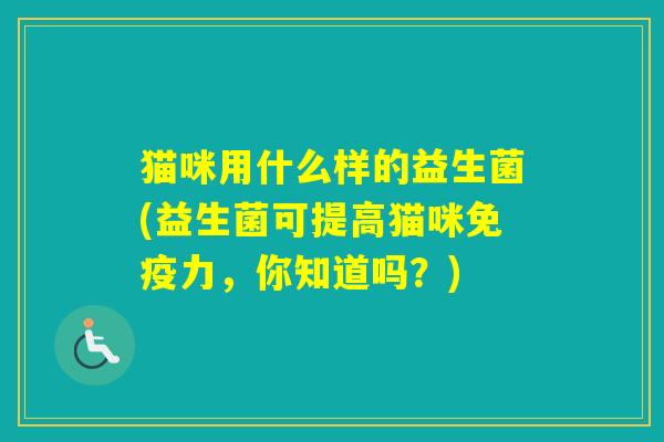 猫咪用什么样的益生菌(益生菌可提高猫咪力，你知道吗？)