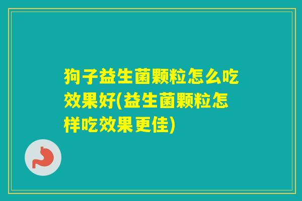 狗子益生菌颗粒怎么吃效果好(益生菌颗粒怎样吃效果更佳)