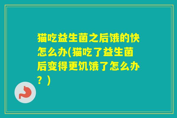 猫吃益生菌之后饿的快怎么办(猫吃了益生菌后变得更饥饿了怎么办?) 猫吃益生菌之后饿的快怎么办(猫吃了益生菌后变得更饥饿了怎么办?)
