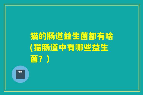 猫的肠道益生菌都有啥(猫肠道中有哪些益生菌？)