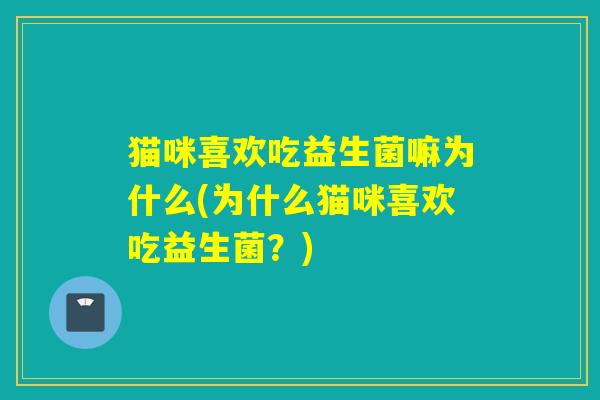 猫咪喜欢吃益生菌嘛为什么(为什么猫咪喜欢吃益生菌？)