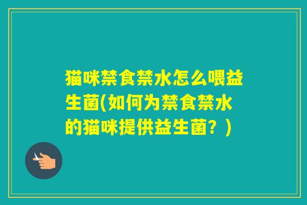 猫咪禁食禁水怎么喂益生菌(如何为禁食禁水的猫咪提供益生菌？)
