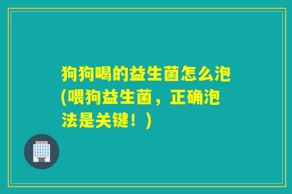 狗狗喝的益生菌怎么泡(喂狗益生菌,正确泡法是关键!) 狗狗喝的益生菌怎么泡(喂狗益生菌,正确泡法是关键!)