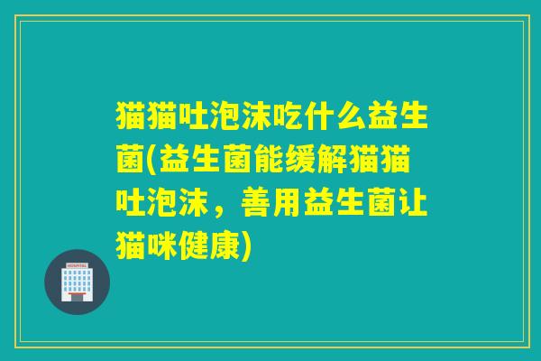 猫猫吐泡沫吃什么益生菌(益生菌能缓解猫猫吐泡沫，善用益生菌让猫咪健康)