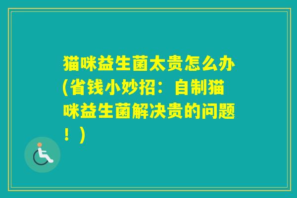 猫咪益生菌太贵怎么办(省钱小妙招：自制猫咪益生菌解决贵的问题！)