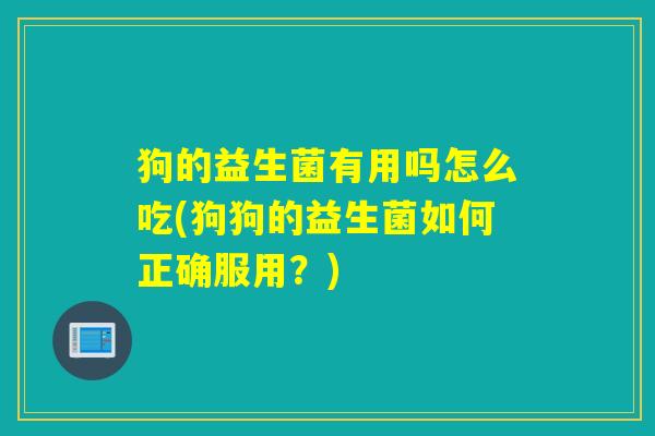 狗的益生菌有用吗怎么吃(狗狗的益生菌如何正确服用？)