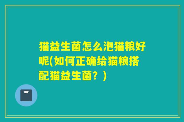 猫益生菌怎么泡猫粮好呢(如何正确给猫粮搭配猫益生菌？)