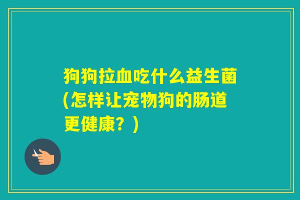 狗狗拉吃什么益生菌(怎样让宠物狗的肠道更健康？)