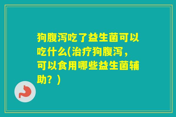 狗吃了益生菌可以吃什么(狗，可以食用哪些益生菌辅助？)