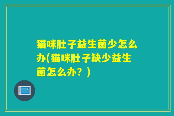 猫咪肚子益生菌少怎么办(猫咪肚子缺少益生菌怎么办？)