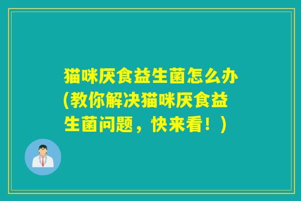 猫咪厌食益生菌怎么办(教你解决猫咪厌食益生菌问题，快来看！)