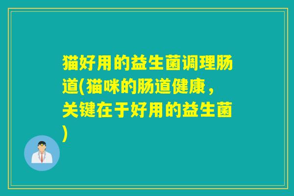 猫好用的益生菌调理肠道(猫咪的肠道健康，关键在于好用的益生菌)