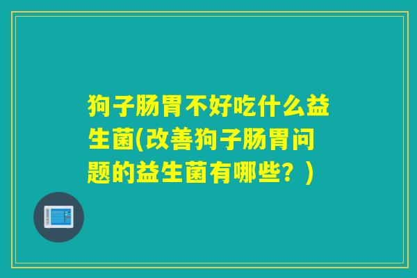狗子肠胃不好吃什么益生菌(改善狗子肠胃问题的益生菌有哪些？)