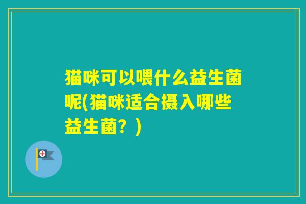 猫咪可以喂什么益生菌呢(猫咪适合摄入哪些益生菌?) 猫咪可以喂什么益生菌呢(猫咪适合摄入哪些益生菌?)
