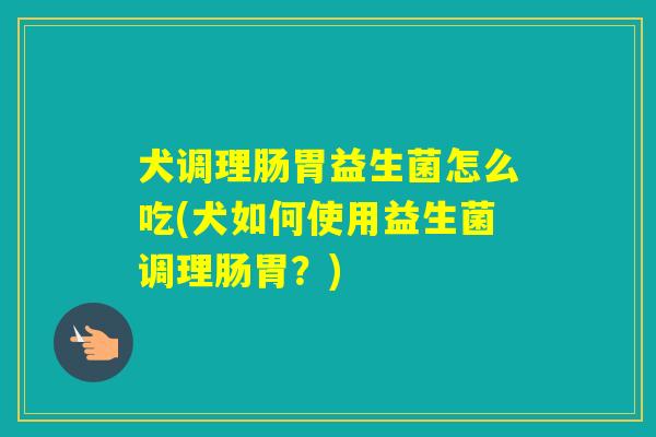 犬调理肠胃益生菌怎么吃(犬如何使用益生菌调理肠胃？)