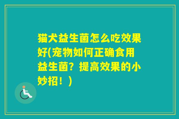 猫犬益生菌怎么吃效果好(宠物如何正确食用益生菌?提高效果的小妙招!) 猫犬益生菌怎么吃效果好(宠物如何正确食用益生菌?提高效果的小妙招!)