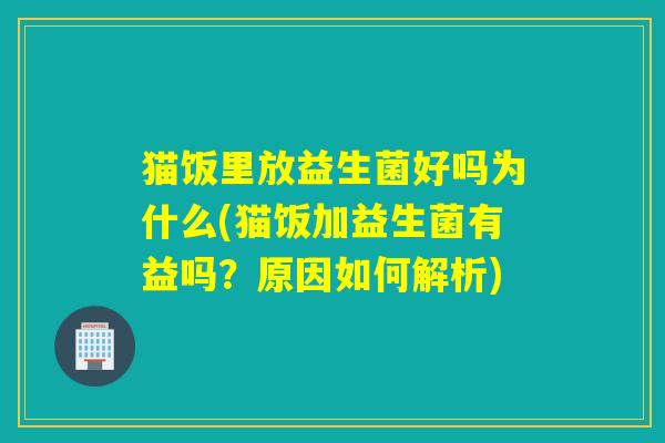 猫饭里放益生菌好吗为什么(猫饭加益生菌有益吗？原因如何解析)