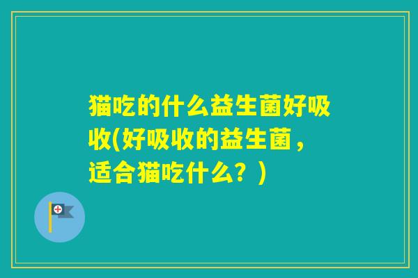 猫吃的什么益生菌好吸收(好吸收的益生菌，适合猫吃什么？)