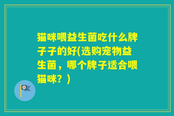 猫咪喂益生菌吃什么牌子子的好(选购宠物益生菌，哪个牌子适合喂猫咪？)
