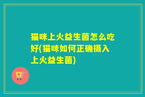 猫咪上火益生菌怎么吃好(猫咪如何正确摄入上火益生菌)
