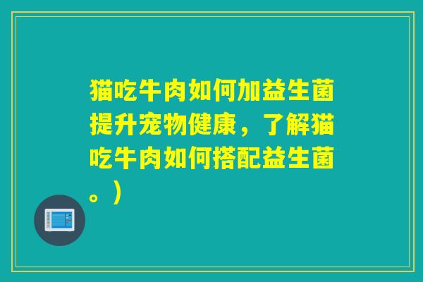 猫吃牛肉如何加益生菌提升宠物健康,了解猫吃牛肉如何搭配益生菌。) 猫吃牛肉如何加益生菌提升宠物健康,了解猫吃牛肉如何搭配益生菌。)