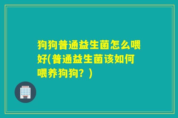 狗狗普通益生菌怎么喂好(普通益生菌该如何喂养狗狗？)