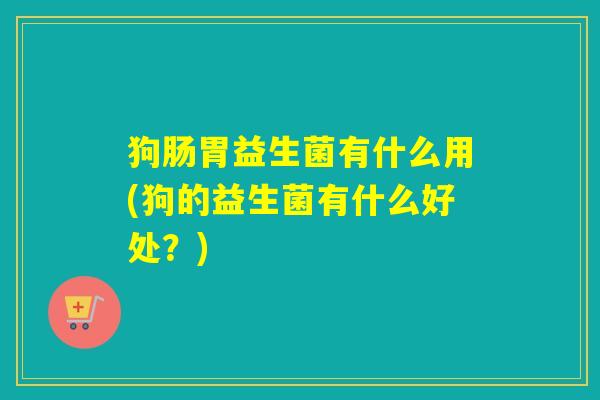 狗肠胃益生菌有什么用(狗的益生菌有什么好处？)