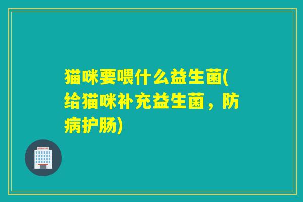 猫咪要喂什么益生菌(给猫咪补充益生菌，防护肠)