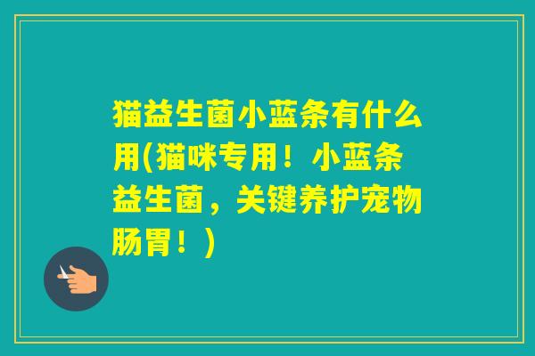 猫益生菌小蓝条有什么用(猫咪专用！小蓝条益生菌，关键养护宠物肠胃！)