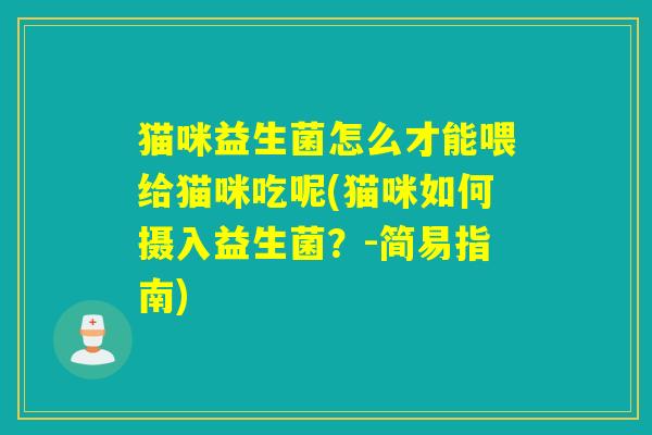 猫咪益生菌怎么才能喂给猫咪吃呢(猫咪如何摄入益生菌？-简易指南)