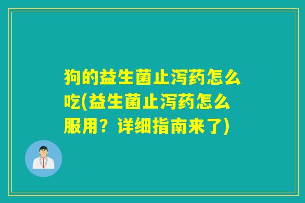 狗的益生菌止泻药怎么吃(益生菌止泻药怎么服用？详细指南来了)