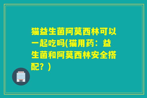猫益生菌阿莫西林可以一起吃吗(猫用药：益生菌和阿莫西林安全搭配？)