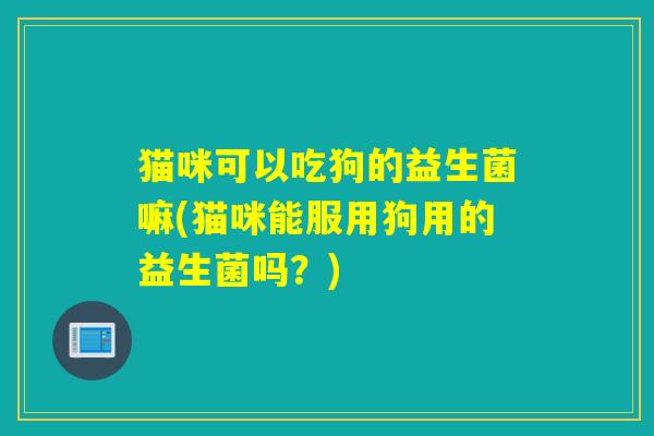 猫咪可以吃狗的益生菌嘛(猫咪能服用狗用的益生菌吗？)