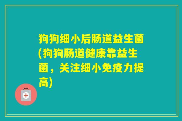 狗狗细小后肠道益生菌(狗狗肠道健康靠益生菌,关注细小力提高) 狗狗细小后肠道益生菌(狗狗肠道健康靠益生菌,关注细小力提高)