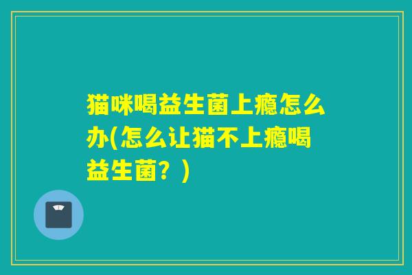 猫咪喝益生菌上瘾怎么办(怎么让猫不上瘾喝益生菌？)