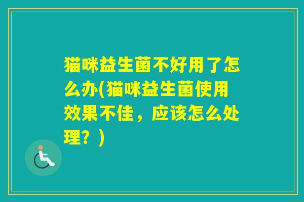猫咪益生菌不好用了怎么办(猫咪益生菌使用效果不佳，应该怎么处理？)