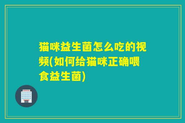 猫咪益生菌怎么吃的视频(如何给猫咪正确喂食益生菌)